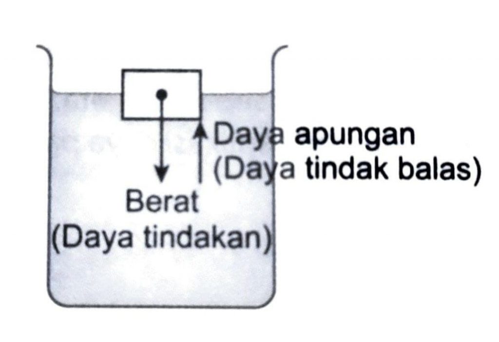 SAINS T2 – Topik 8.1: Pasangan Daya Tindakan-Daya Gerak Balas – Cikgu Azhar